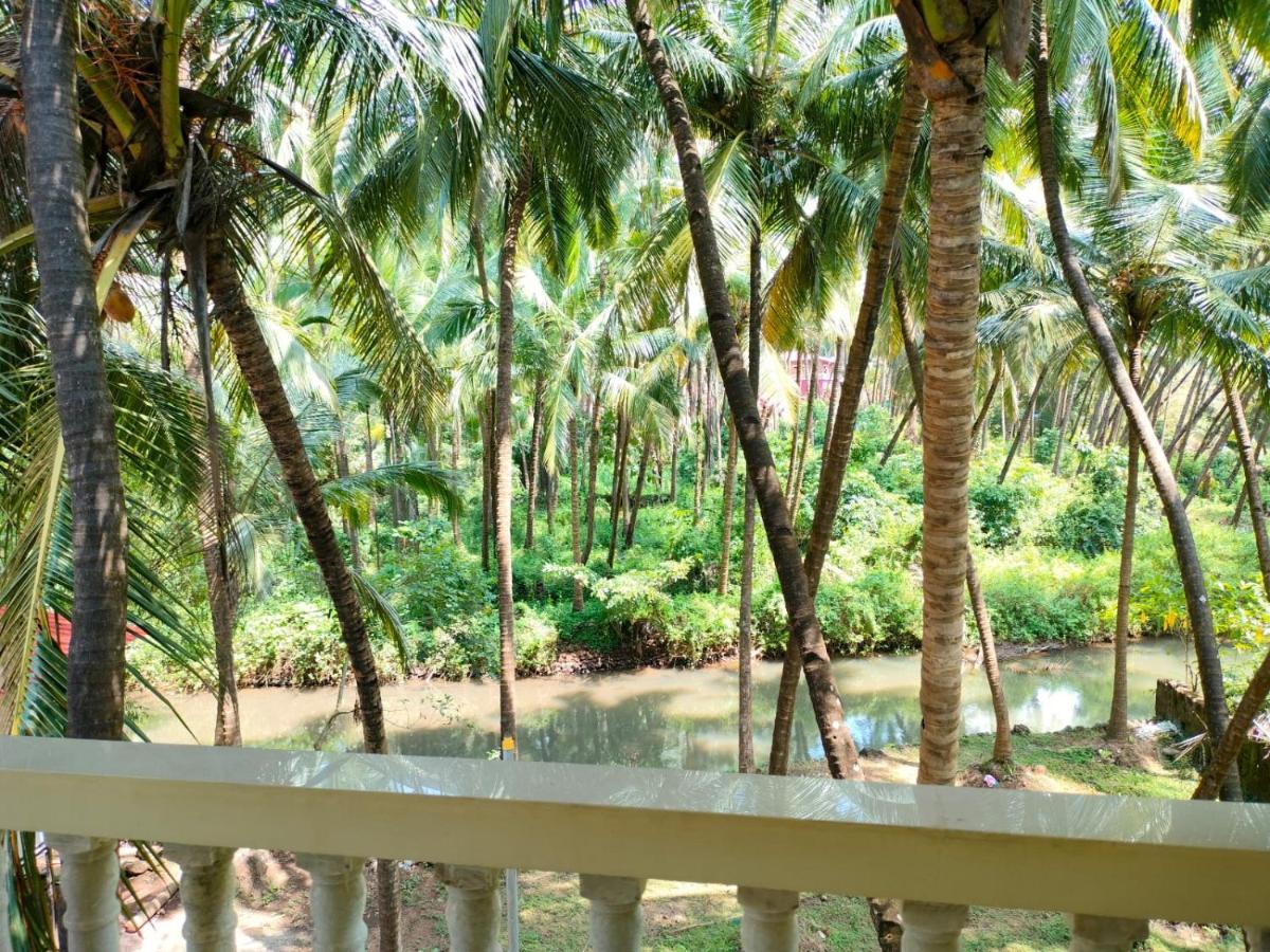 Santana * Agonda